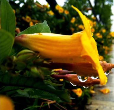 2018年05月07日随手小拍